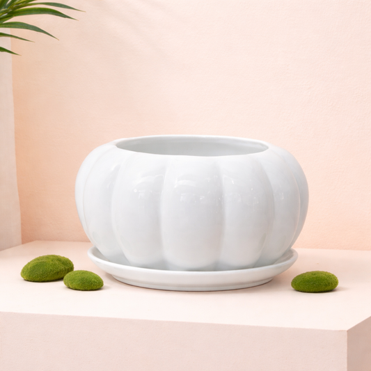 Ivory Bloom Bowl Planter