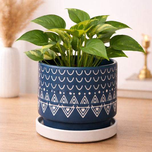 Indigo Terra Ceramic Planter