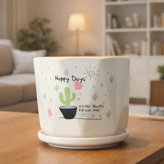 Sunny Prickles Planter