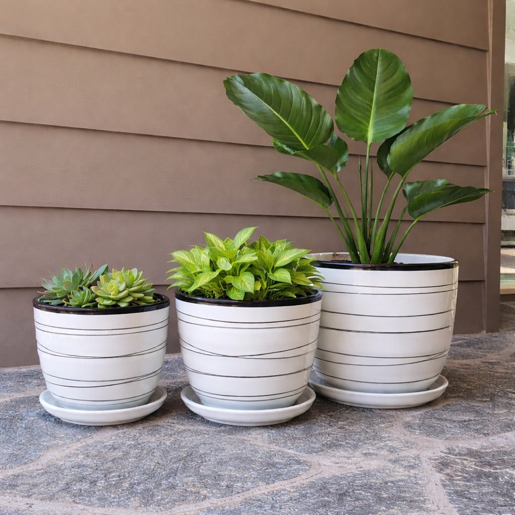 Mono Line Planter