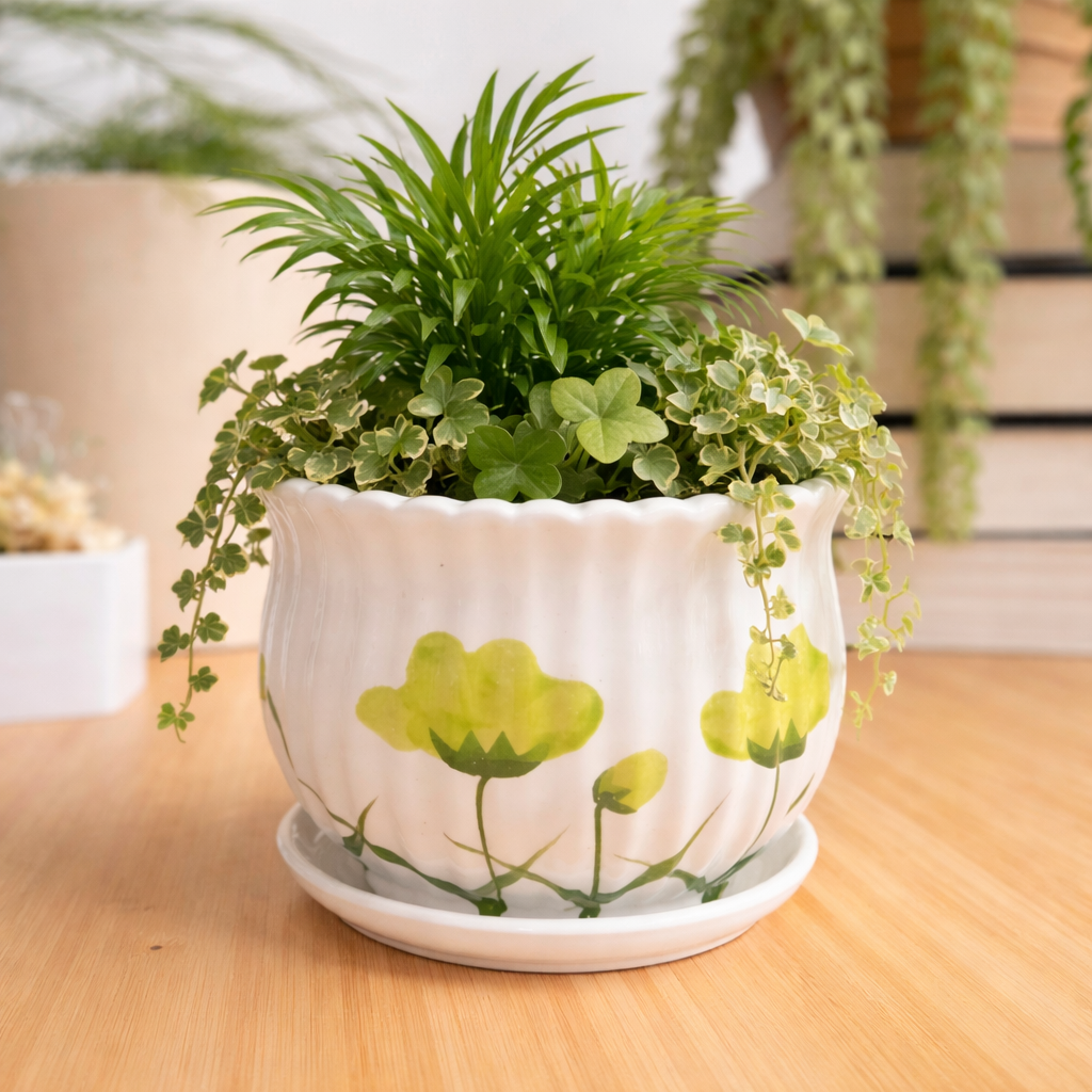 Soft Petal Ceramic Planter