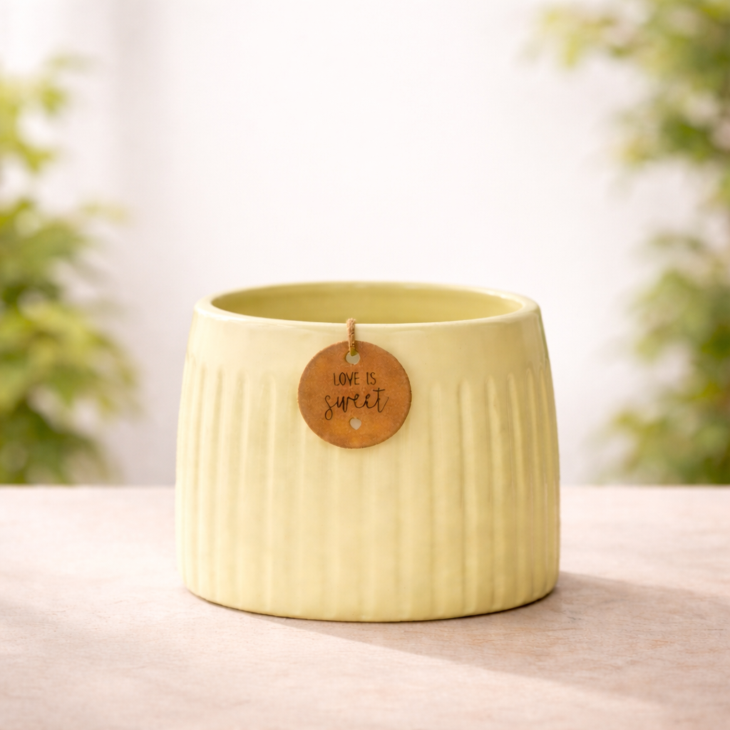 Yellow Calmaura Pots