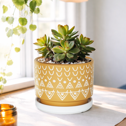 Saffron Geo Ceramic Planter