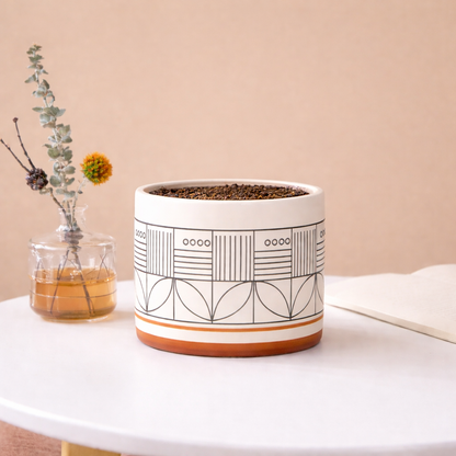 Earthline Ceramic Planter