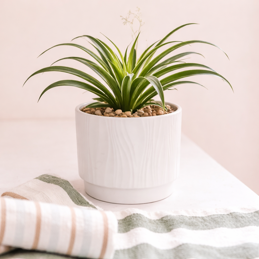 Pure Ridge Ceramic Planter