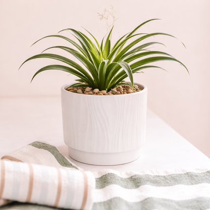 Pure Ridge Ceramic Planter