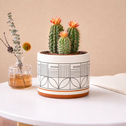 Earthline Ceramic Planter