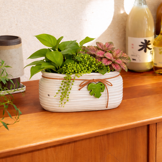 Leaf Knot Ceramic Planter