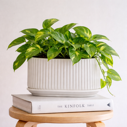 Cloud Rest Planter