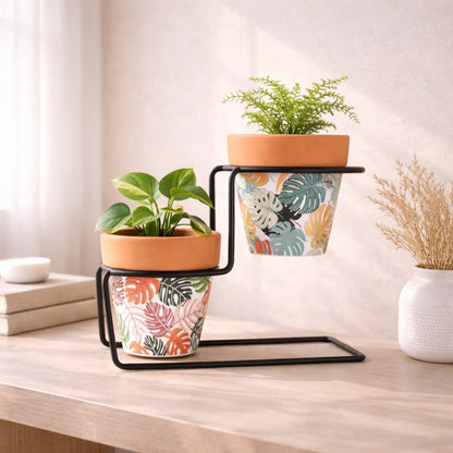 Flora Step