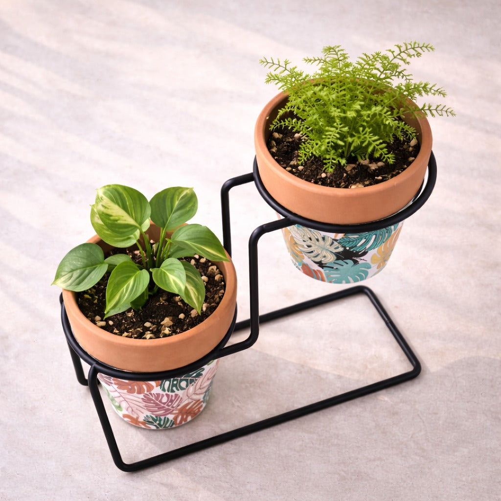 Flora Step
