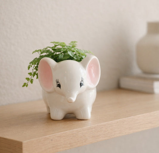 Little Jumbo Planter