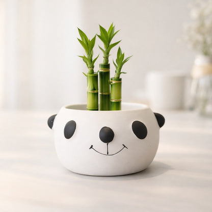 Panda Nest Pot