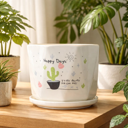 Sunny Prickles Planter