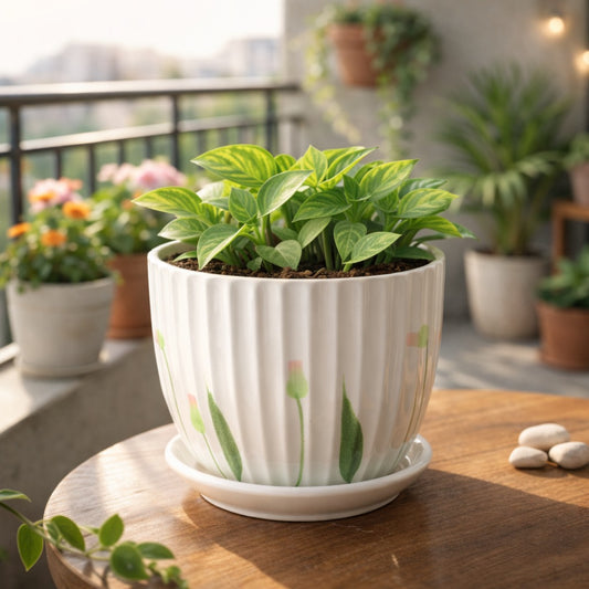 Tulip Meadow Planter