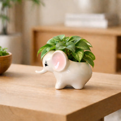 Little Jumbo Planter