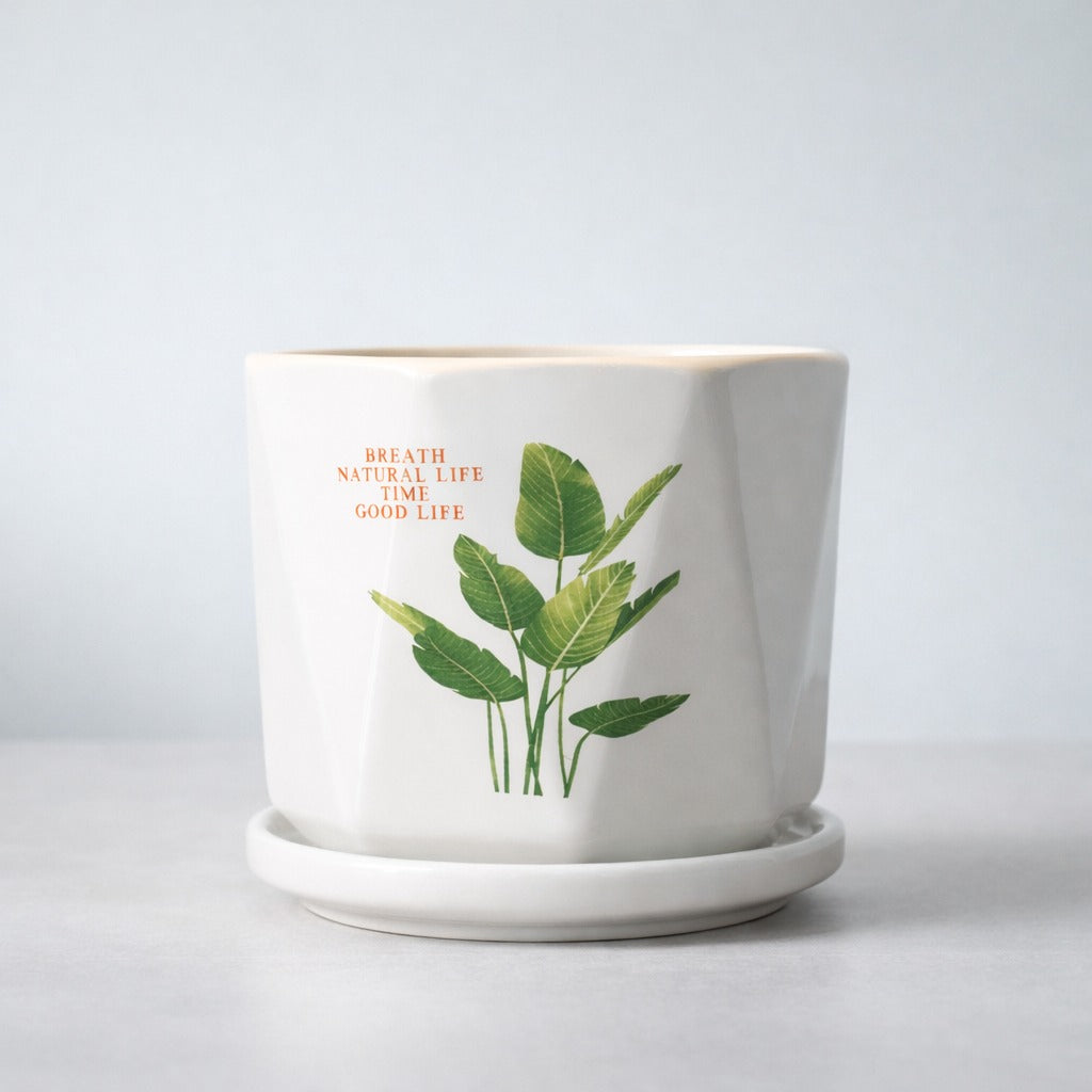 Green Verse Planter