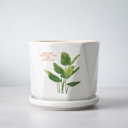 Green Verse Planter