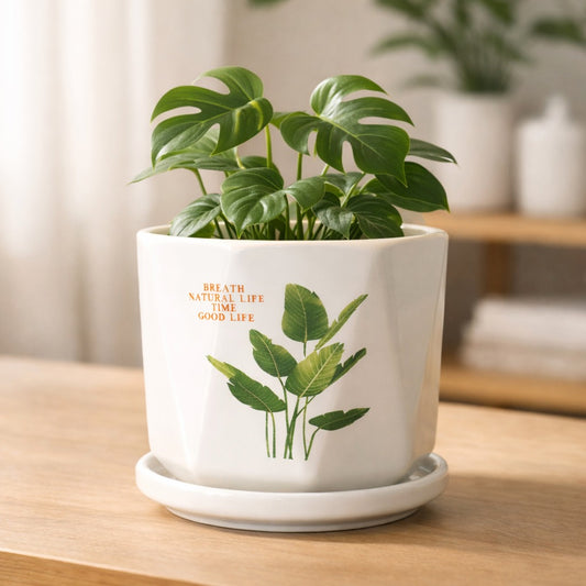 Green Verse Planter