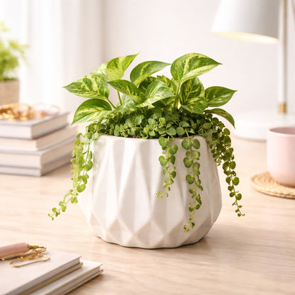 Diamond Form Planter
