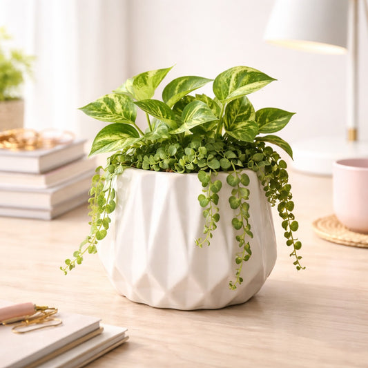 Diamond Form Planter