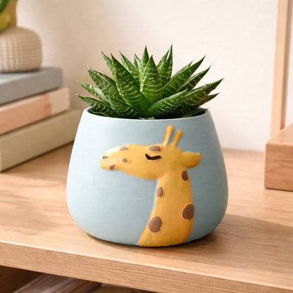 Little Longneck Planter